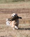 20151010-wcxl-0551