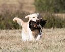 20151010-wcxl-0643