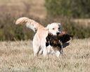 20151010-wcxl-0644