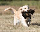 20151010-wcxl-0648