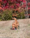 20151010-wcxl-0662