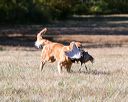 20151010-wcxl-0669