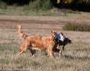 20151010-wcxl-0671