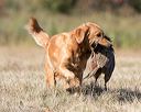 20151010-wcxl-0684