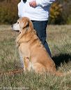 20151010-wcxl-0685