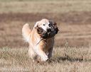 20151010-wcxl-0702