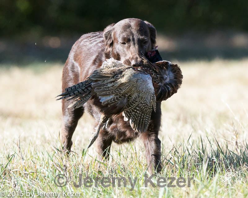 20151010-wcxl-0362.jpg
