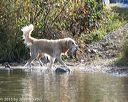 20151010-wcxw-0031