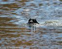 20151010-wcxw-0090