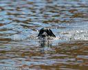 20151010-wcxw-0092