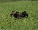 20160604-seal-0010
