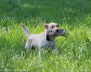 20160604-seal-0157