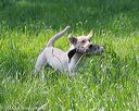 20160604-seal-0158