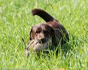 20160604-seal-0218