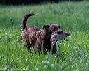 20160604-seal-0243