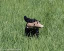 20160604-seal-0320