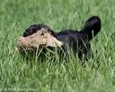 20160604-seal-0332
