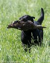 20160604-seal-0410