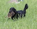 20160604-seal-0436