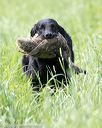 20160604-seal-0458