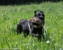20160604-seal-0659