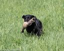 20160604-seal-0676