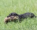 20160604-seal-0685