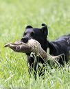 20160604-seal-0706