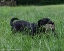 20160604-seal-0728