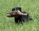 20160604-seal-0742