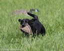 20160604-seal-0805