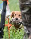 20160604-seal-0894