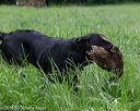 20160604-seal-0915