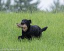 20160604-seal-0920