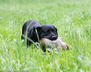 20160604-seal-1095