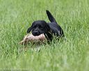 20160604-seal-1114