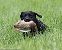 20160604-seal-1115