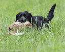 20160604-seal-1122