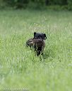 20160604-seal-1125