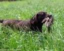20160604-seal-1168
