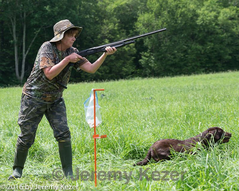 20160604-seal-1173.jpg