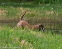 20160604-seaw-0047