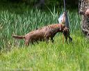 20160604-seaw-0048
