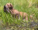 20160604-seaw-0098