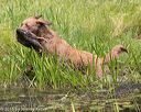 20160604-seaw-0099
