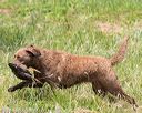 20160604-seaw-0104