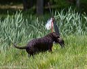 20160604-seaw-0125