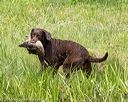 20160604-seaw-0154
