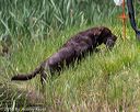 20160604-seaw-0162