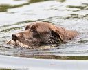 20160604-seaw-0189